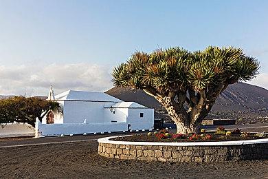 恐怖3D格斗《悲兆》9月15登陆XB1Steam版即将发售