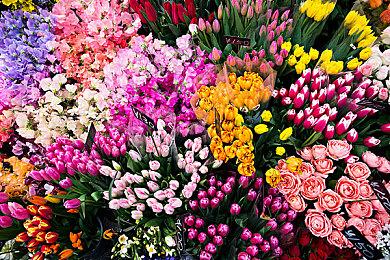 战术策略游戏《入院观影!》Steam上线 发售日期待定