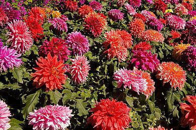 Xbox新直播会10月26日凌晨1点举行 第三方为特色